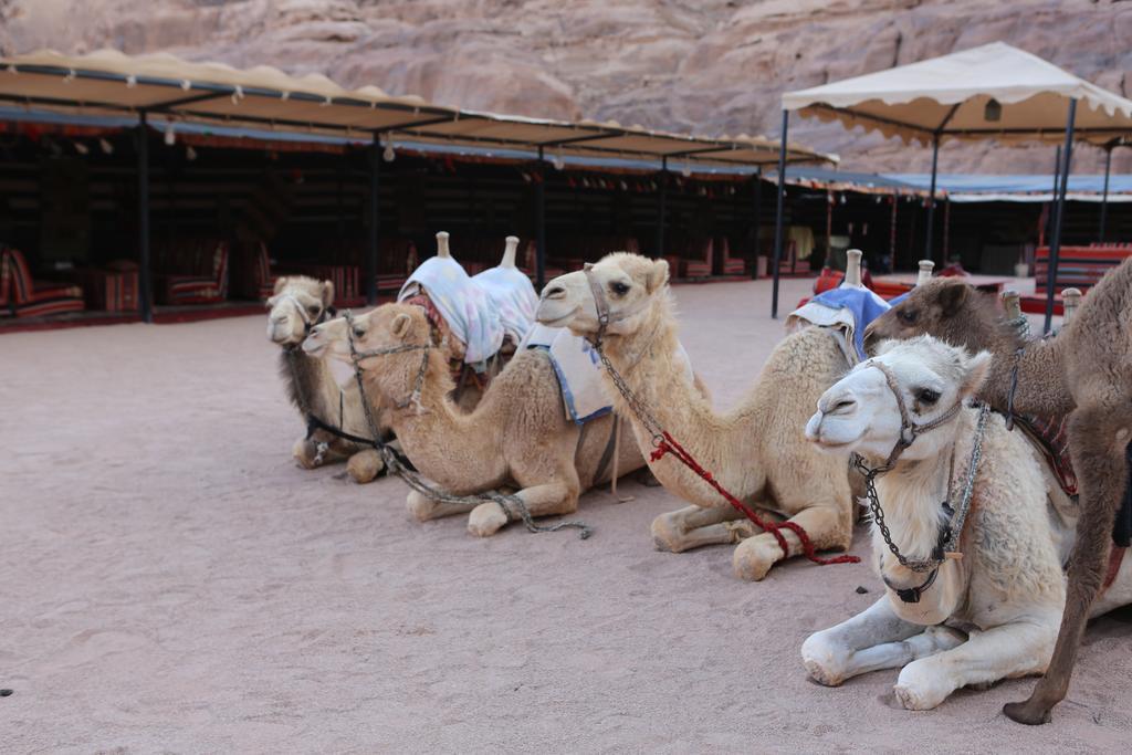 Sun City Camp Hotel Wadi Rum Buitenkant foto